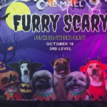 Halloween, cani e gatti sfilano con costumi spaventosi: l’evento nelle Filippine