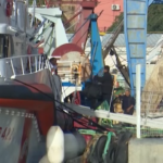 Cpr Albania, Landini: “Attacco a magistratura da Meloni e Salvini gravissimo”