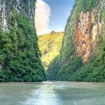 Al via in Colombia la Cop16 sulla biodiversità