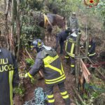 Torino, la cavalla Calì salvata dai vigili del fuoco: le foto del recupero