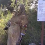 Ventimiglia, installazione artistica sulla rotta dei migranti