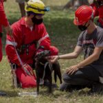 Pisa, donna scomparsa: Procura apre fascicolo per omicidio
