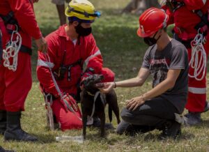 Pisa, donna scomparsa: Procura apre fascicolo per omicidio