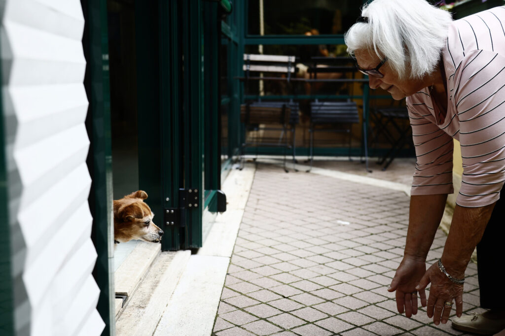 Galleria foto 'Roma, arriva il veterinario sociale: un aiuto per persone fragili e i loro cuccioli' - foto 2
