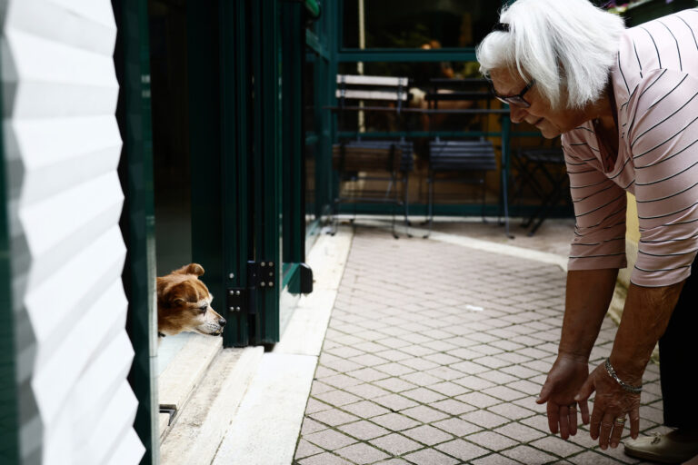 Roma, arriva il veterinario sociale: un aiuto per persone fragili e i loro cuccioli