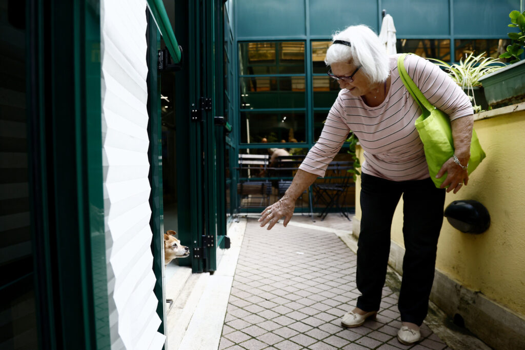 Galleria foto 'Roma, arriva il veterinario sociale: un aiuto per persone fragili e i loro cuccioli' - foto 5