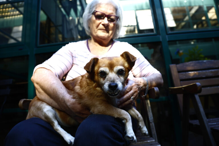 Roma, arriva il veterinario sociale: un aiuto per persone fragili e i loro cuccioli