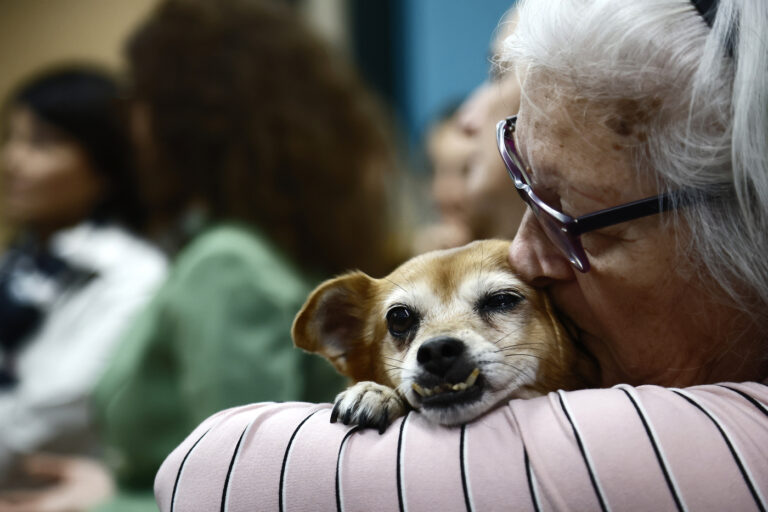 Roma, arriva il veterinario sociale: un aiuto per persone fragili e i loro cuccioli