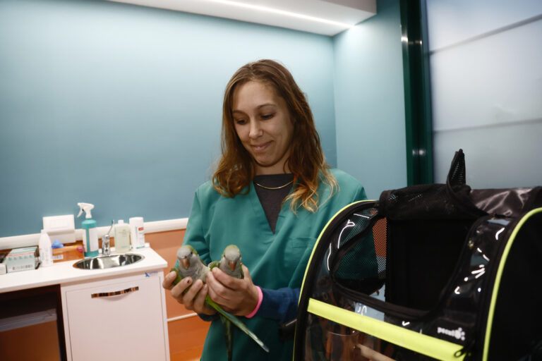 Roma, arriva il veterinario sociale: un aiuto per persone fragili e i loro cuccioli