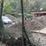 Bologna, canile alluvionato: le immagini della devastazione