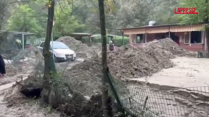 Bologna, canile alluvionato: le immagini della devastazione