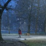 In arrivo il primo freddo: clima invernale tra la fine di ottobre e l’inizio di novembre