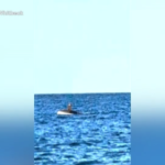 Usa, aggrappato allo scafo di una barca nell’Atlantico: salvato da due pescatori