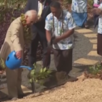 Re Carlo alle Samoa in un giardino botanico: applausi mentre pianta un albero