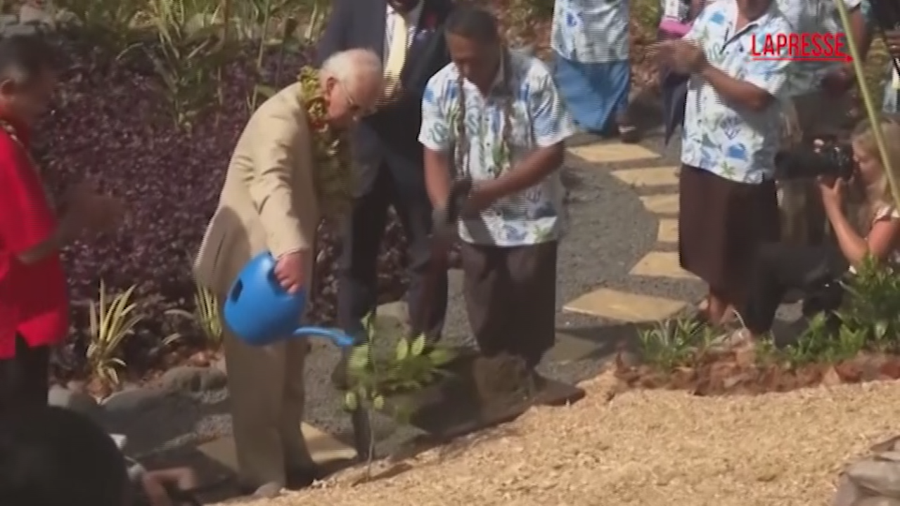 Re Carlo alle Samoa in un giardino botanico: applausi mentre pianta un albero