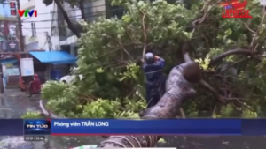 Vietnam, la furia del tifone Trami: piogge incessanti e alberi sradicati