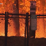 Usa, vasto incendio boschivo in Massachussets