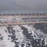 India, il fiume sacro è ricoperto di schiuma tossica