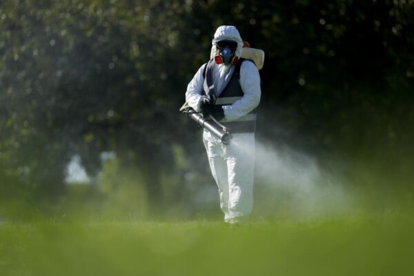 Argentina Dengue