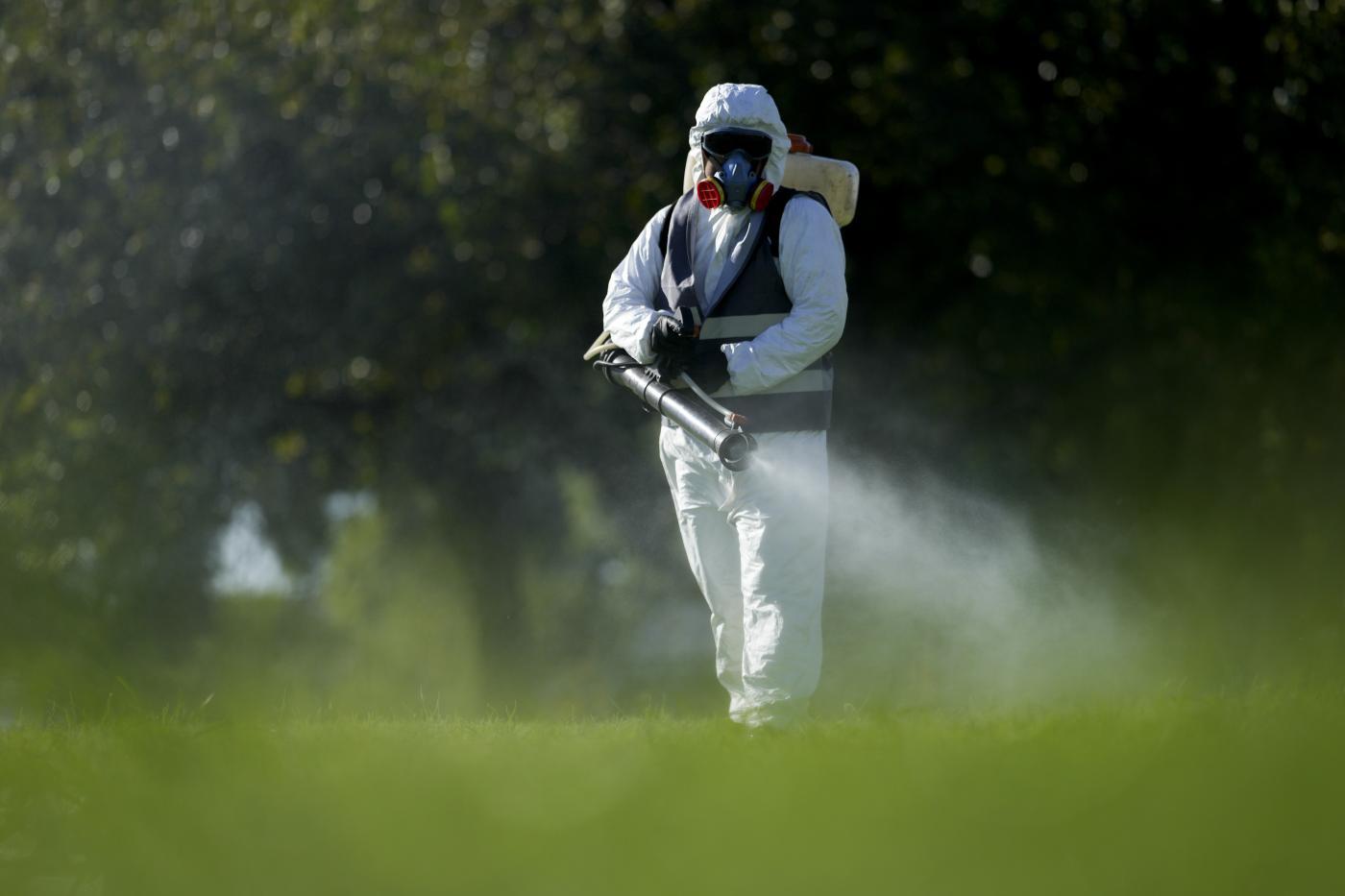 Due casi di Dengue a Fano