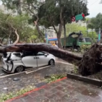Taiwan, tassista si salva per un pelo dalla caduta di un albero durante il passaggio del tifone Kong-rey