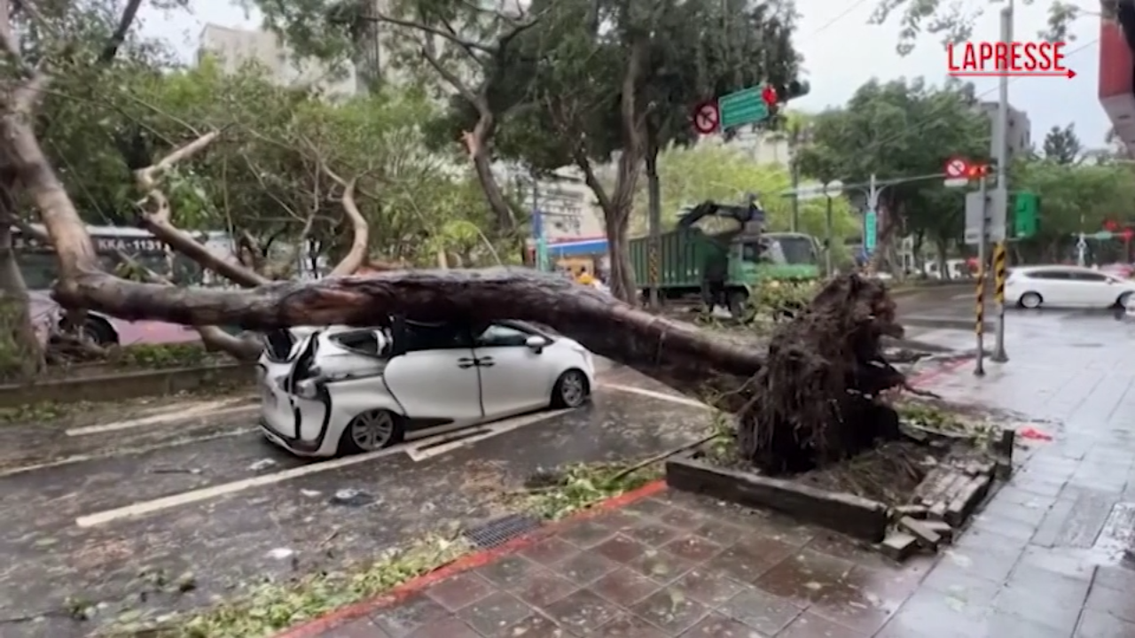 Taiwan, tassista si salva per un pelo dalla caduta di un albero durante il passaggio del tifone Kong rey