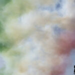 Frecce Tricolori per la festa delle Forze Armate