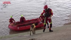 Alluvione Valencia, le ricerche dei dispersi con i cani molecolari