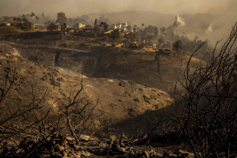 Vasti incendi causati dal vento in California