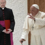 Istruzione, Papa: “Rischio appiattimento programmi asserviti a interessi politici”