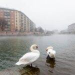 Previsioni meteo, il tempo per oggi 10 novembre: ancora nebbia al Nord