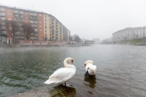 Milano - Nebbia fitta in città