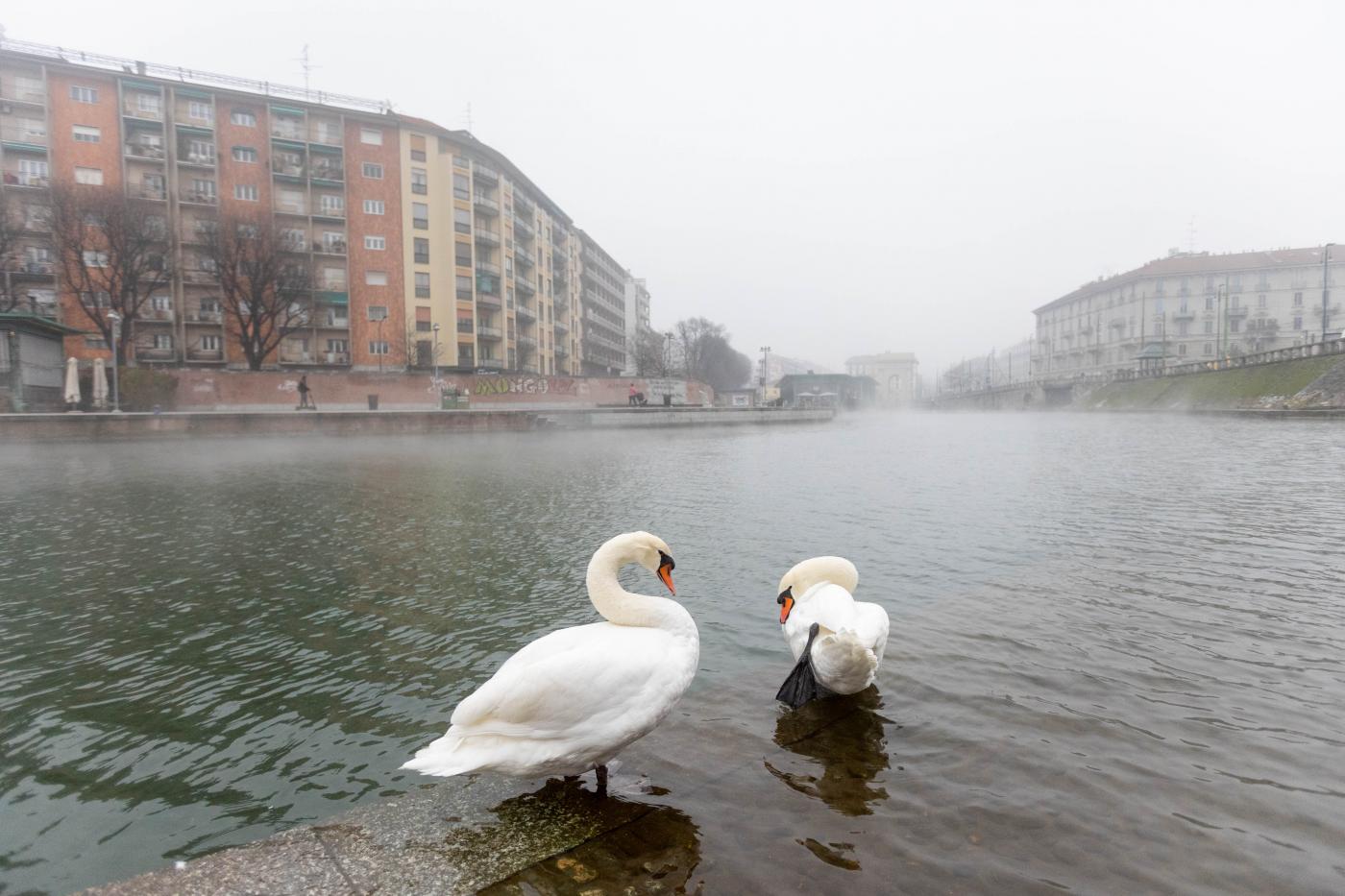 Previsioni meteo, il tempo per oggi 10 novembre: ancora nebbia al Nord