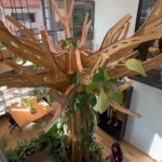 A Milano arriva “The forest”: l’ufficio biofilico dove la natura aiuta a concentrarsi