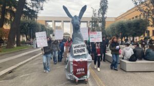 No Meloni Day, studenti contro ministra: “Somaro Bernini sfila alla Sapienza”