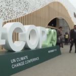 Tg Green 14 novembre – Al via i negoziati sul clima alla Cop29