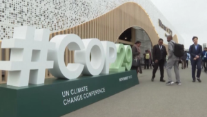 Tg Green 14 novembre – Al via i negoziati sul clima alla Cop29