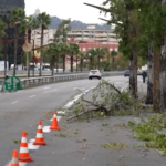 Forti raffiche di vento a Barcellona: alberi caduti, chiusi parchi e giardini