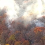 Usa, incendio lungo l’autostrada a Manhattan: una gigantesca nuvola di fumo blocca il traffico