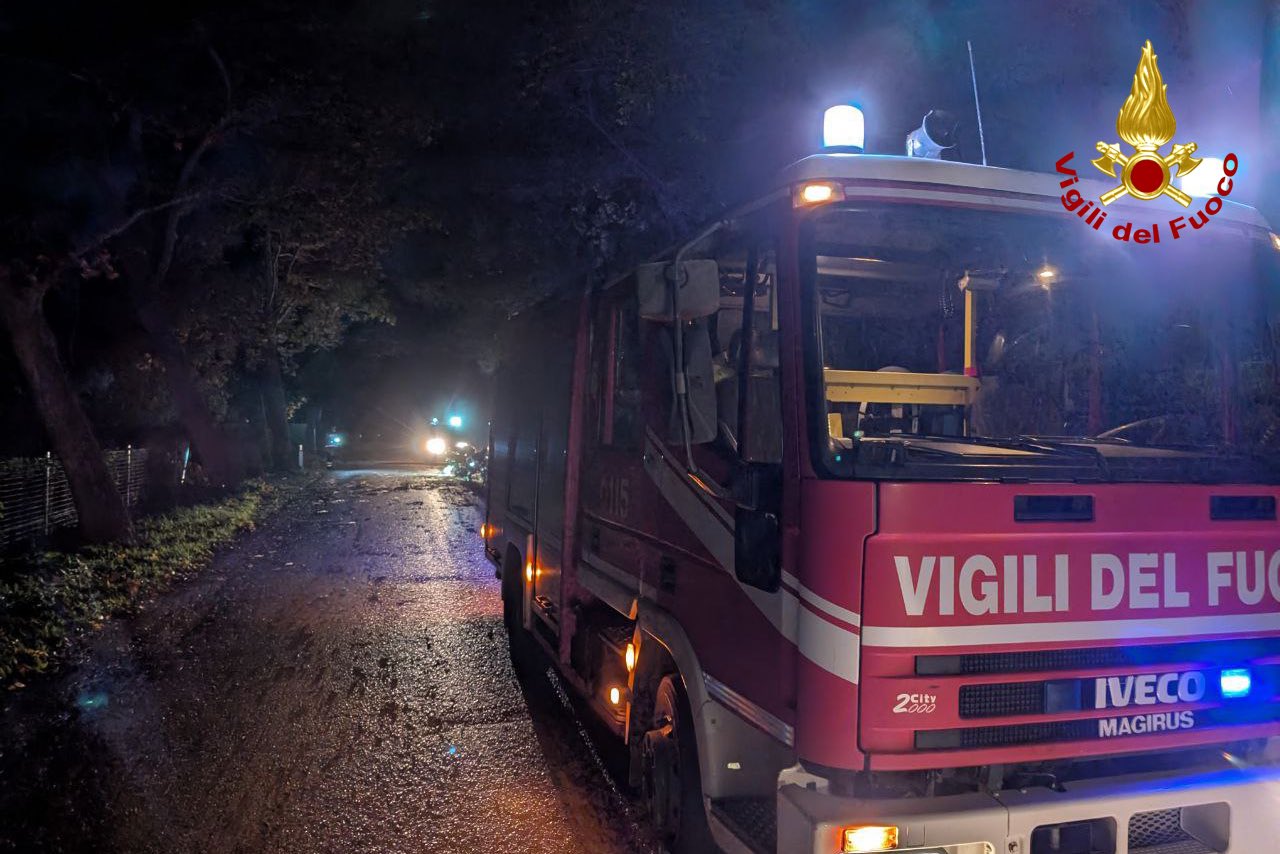 Maltempo: alberi caduti, piogge e vento in Toscana