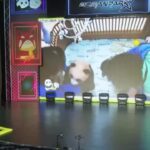 Hong Kong, in centinaia sono accorsi per vedere i primi cuccioli di panda nati in città