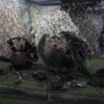 Ucraina: il relitto del nuovo missile balistico usato dalla Russia