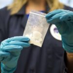 Trump annuncia dazi alla Cina se non blocca il Fentanyl: cos’è e cosa provoca?