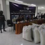 Indonesia, sequestro record di scaglie di pangolini