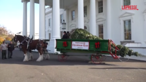 Usa, l’albero di Natale arriva alla Casa Bianca