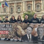 Pulcini uccisi, a Roma protesta animalista davanti ai ministeri Agricoltura e Salute
