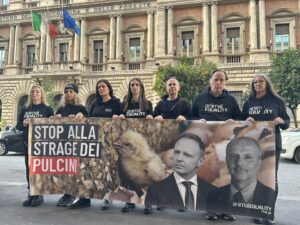 Pulcini uccisi, a Roma protesta animalista davanti ai ministeri Agricoltura e Salute