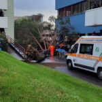 Salerno, albero cade in campus università a Fisciano: tre feriti, uno è grave