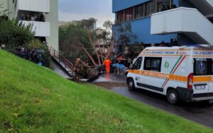 Salerno, albero cade in campus università a Fisciano: tre feriti, uno è grave