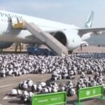 Hong Kong, migliaia di sculture di panda all’aeroporto